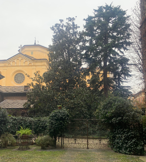 Studio Legale Avv. Prof. Stefano Papa
