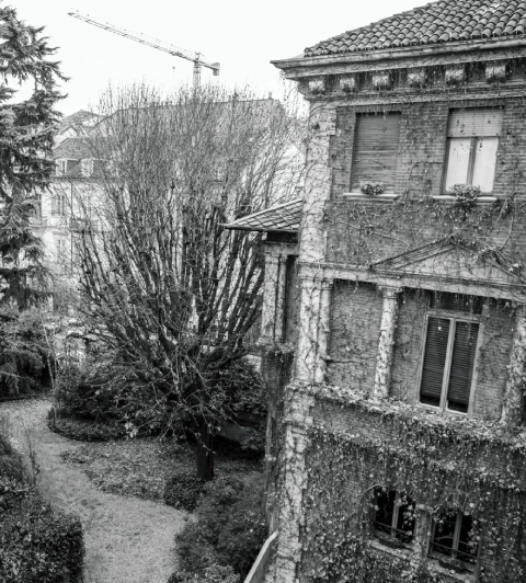 Studio Legale Avv. Prof. Stefano Papa